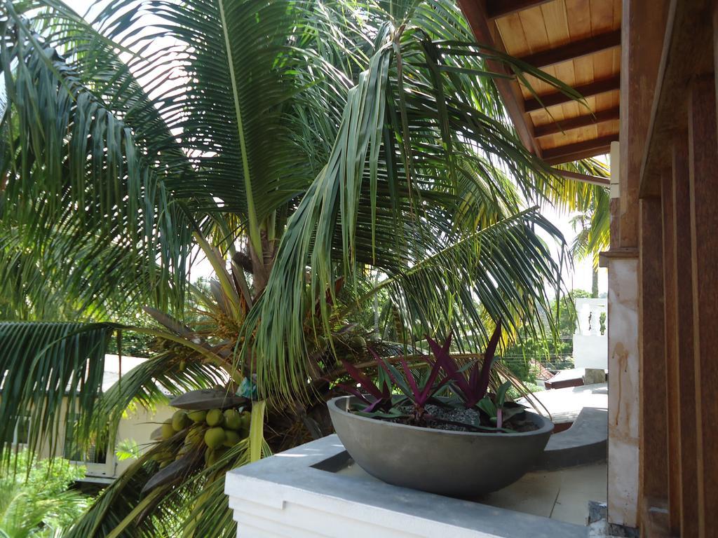 Sky Garden Mini Hotel Mirissa Exterior foto